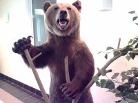 IMG0299A.jpg