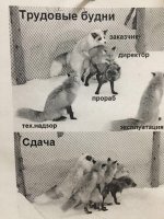 DP5ozUzXUAA_Xyn.jpg