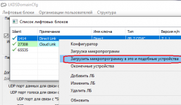 LKDSDomainCfg1RUS.png