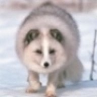 WFox
